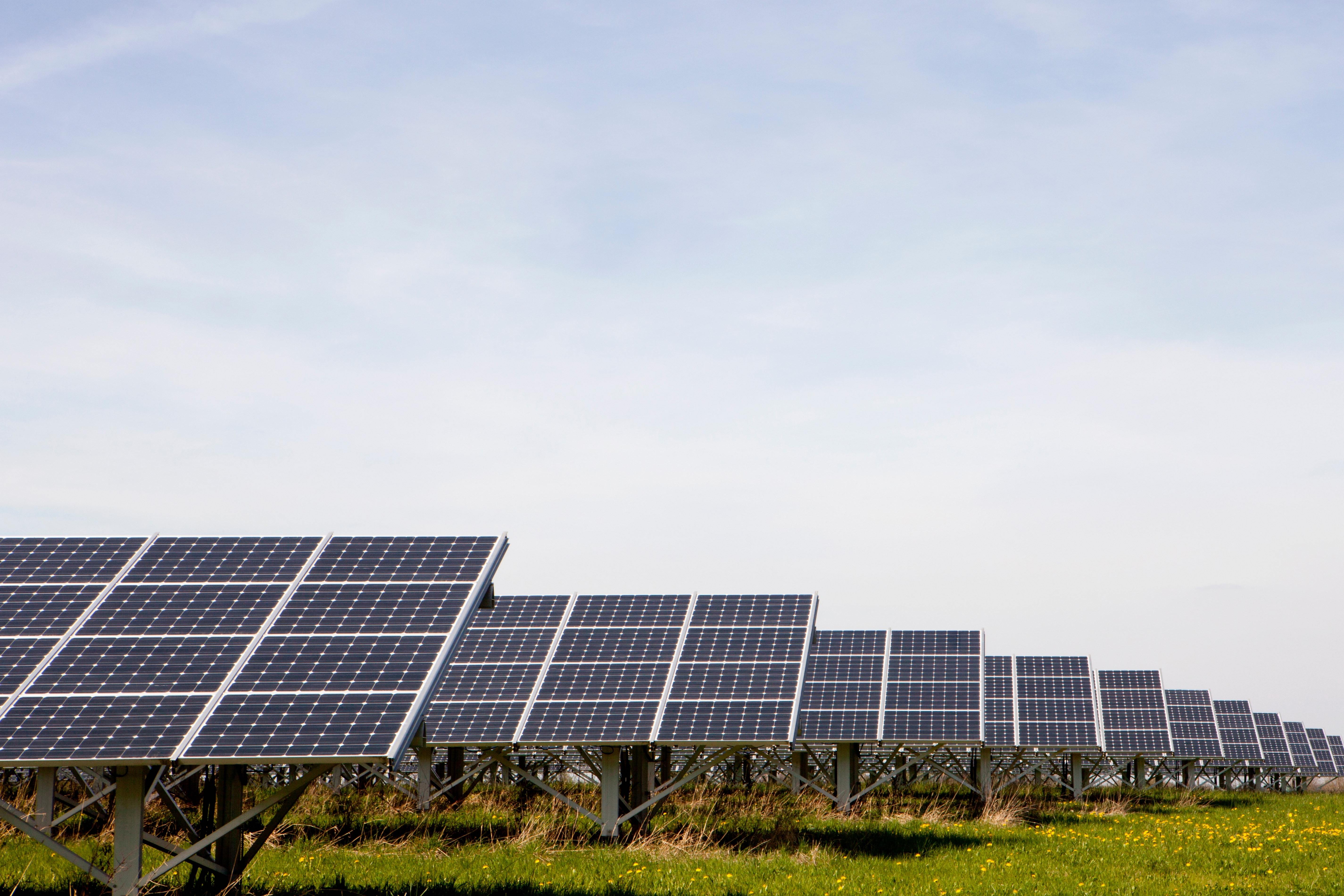 Programa Solar Digital: bom para o seu negócio e o planeta
