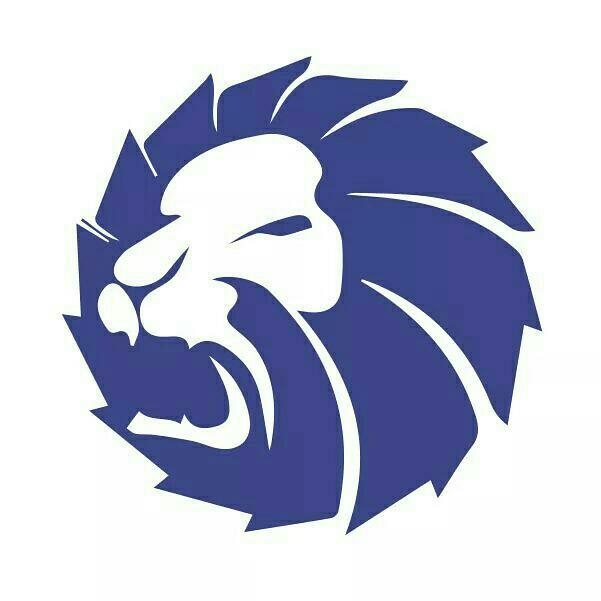 Z-Lion Brasil Artigos para Marmoraria Eireli