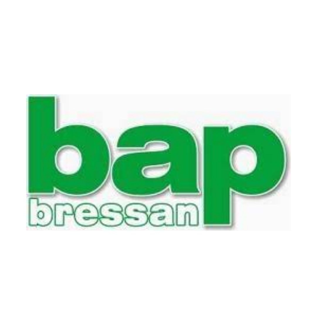 Bap Bressan Auto Peças Limitada
